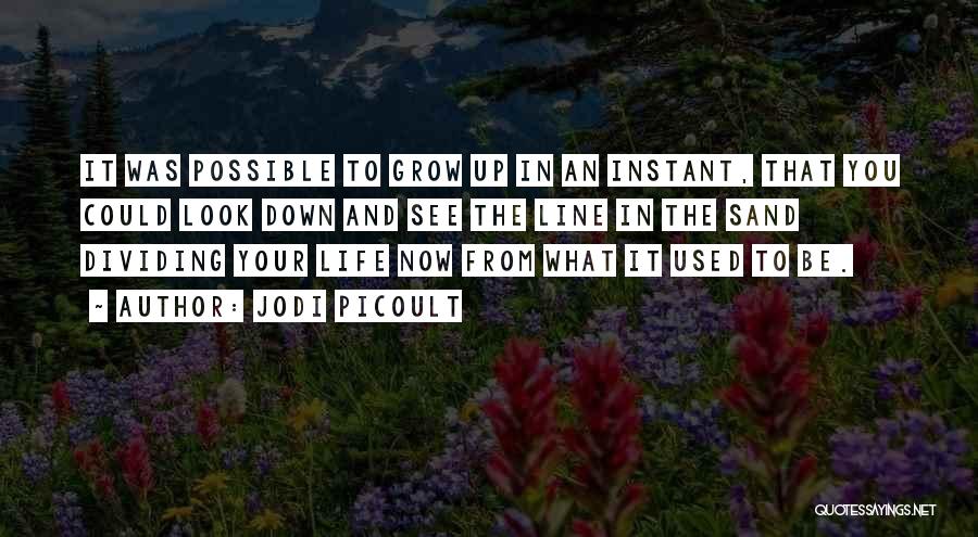 Jodi Picoult Quotes: It Was Possible To Grow Up In An Instant, That You Could Look Down And See The Line In The