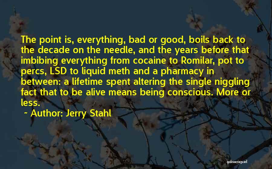 Jerry Stahl Quotes: The Point Is, Everything, Bad Or Good, Boils Back To The Decade On The Needle, And The Years Before That