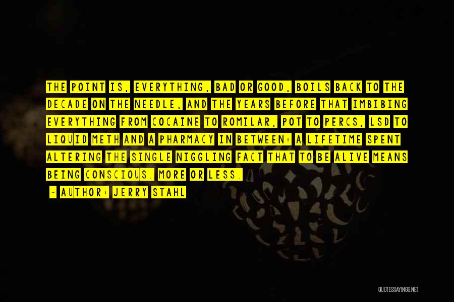 Jerry Stahl Quotes: The Point Is, Everything, Bad Or Good, Boils Back To The Decade On The Needle, And The Years Before That