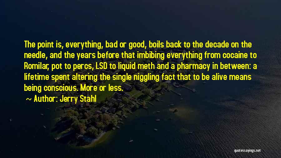 Jerry Stahl Quotes: The Point Is, Everything, Bad Or Good, Boils Back To The Decade On The Needle, And The Years Before That