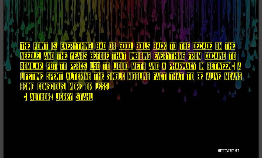 Jerry Stahl Quotes: The Point Is, Everything, Bad Or Good, Boils Back To The Decade On The Needle, And The Years Before That
