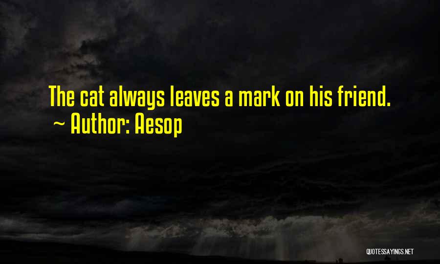 Aesop Quotes: The Cat Always Leaves A Mark On His Friend.