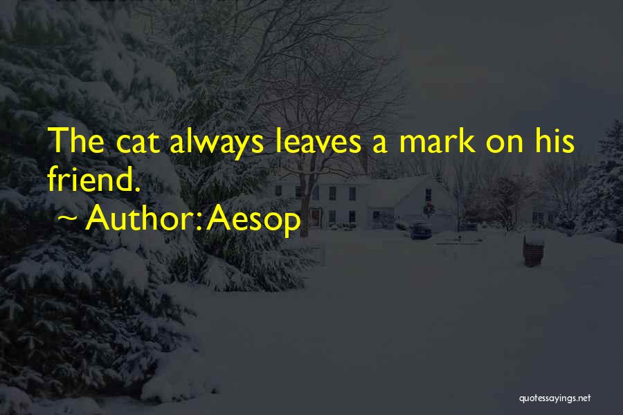 Aesop Quotes: The Cat Always Leaves A Mark On His Friend.
