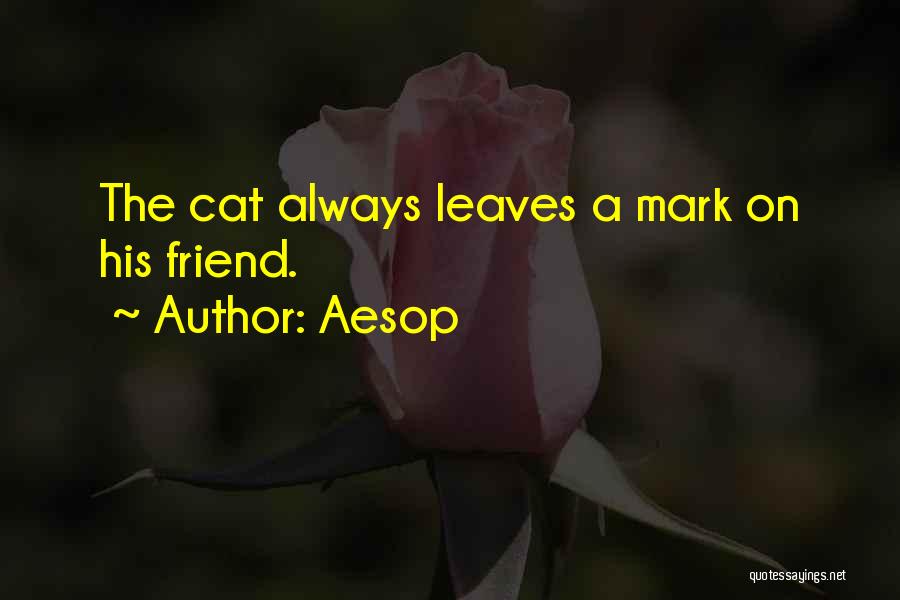 Aesop Quotes: The Cat Always Leaves A Mark On His Friend.