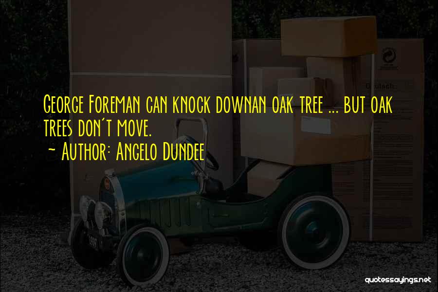 Angelo Dundee Quotes: George Foreman Can Knock Downan Oak Tree ... But Oak Trees Don't Move.