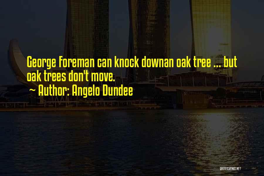 Angelo Dundee Quotes: George Foreman Can Knock Downan Oak Tree ... But Oak Trees Don't Move.