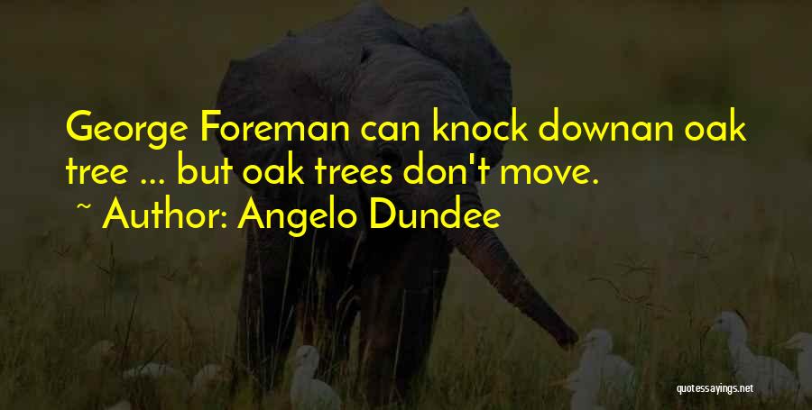 Angelo Dundee Quotes: George Foreman Can Knock Downan Oak Tree ... But Oak Trees Don't Move.