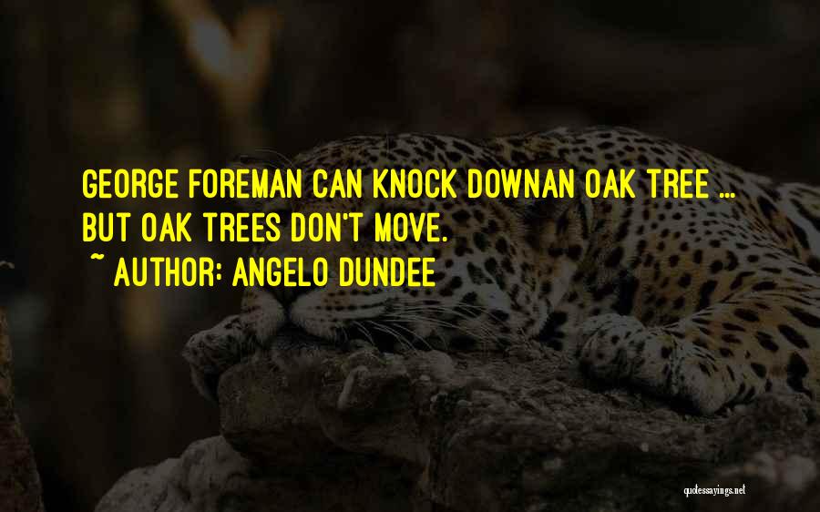 Angelo Dundee Quotes: George Foreman Can Knock Downan Oak Tree ... But Oak Trees Don't Move.