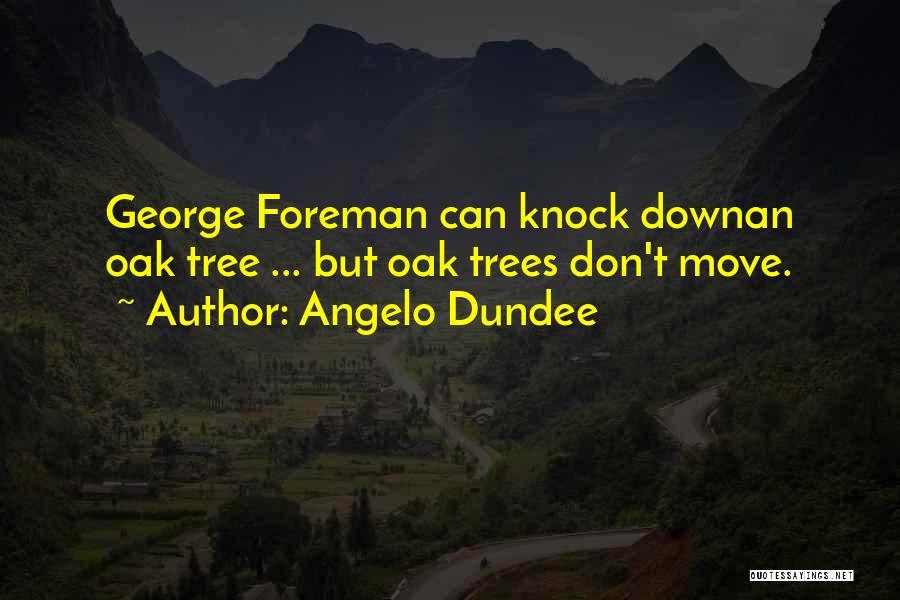 Angelo Dundee Quotes: George Foreman Can Knock Downan Oak Tree ... But Oak Trees Don't Move.