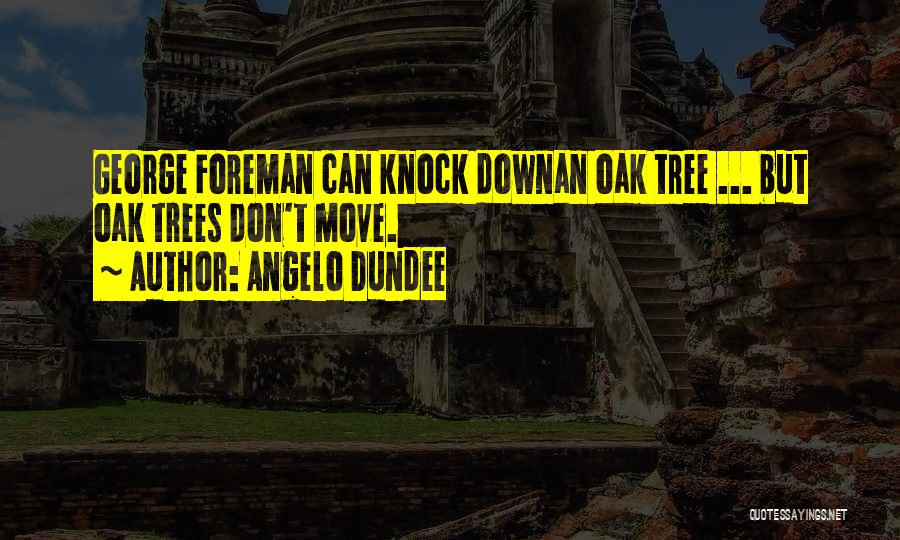 Angelo Dundee Quotes: George Foreman Can Knock Downan Oak Tree ... But Oak Trees Don't Move.