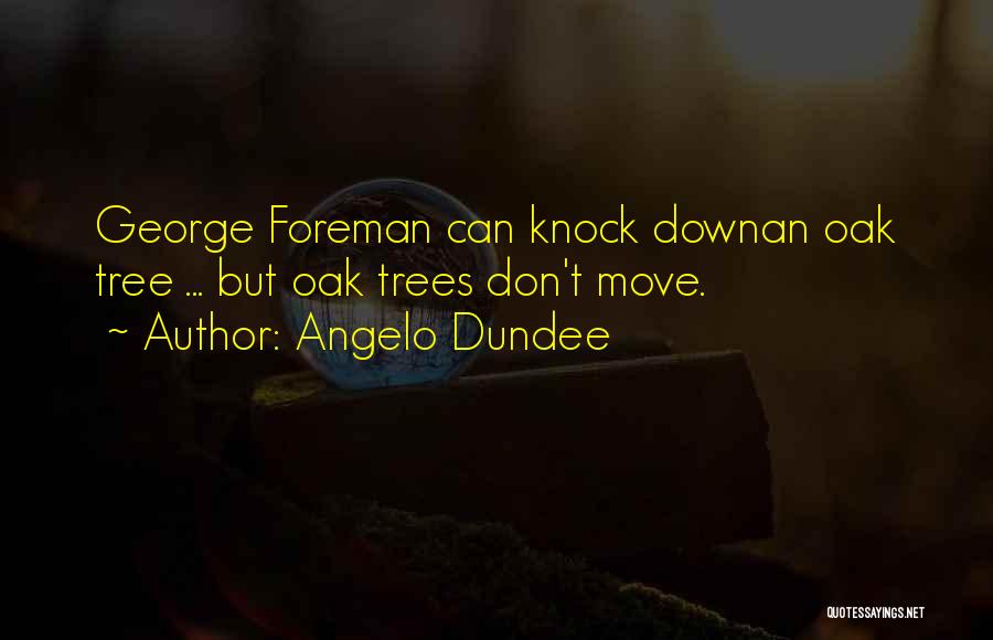 Angelo Dundee Quotes: George Foreman Can Knock Downan Oak Tree ... But Oak Trees Don't Move.