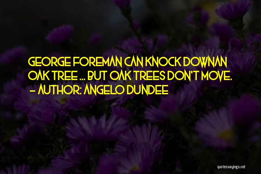 Angelo Dundee Quotes: George Foreman Can Knock Downan Oak Tree ... But Oak Trees Don't Move.