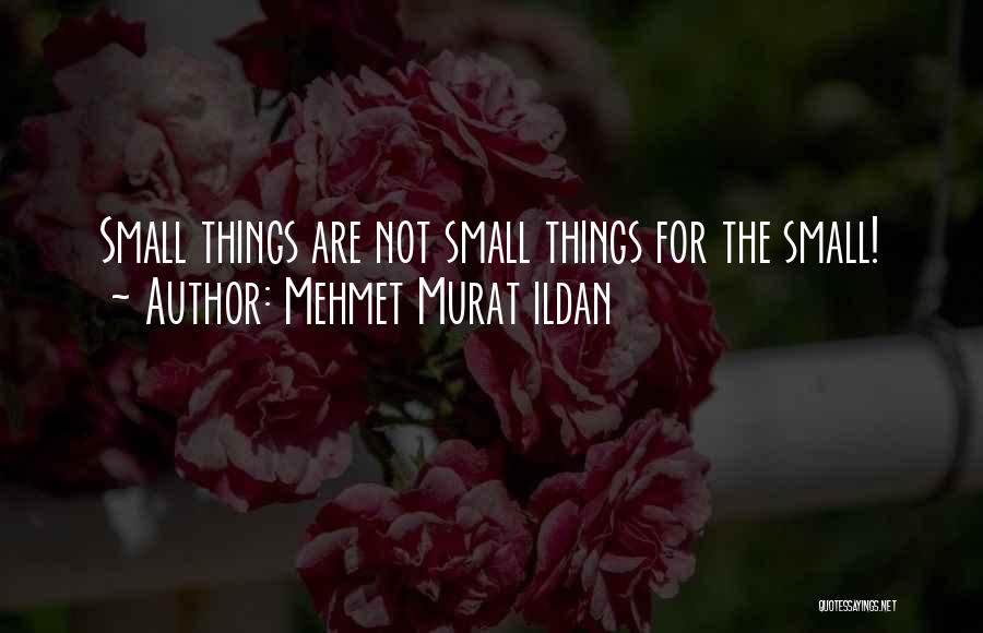 Mehmet Murat Ildan Quotes: Small Things Are Not Small Things For The Small!