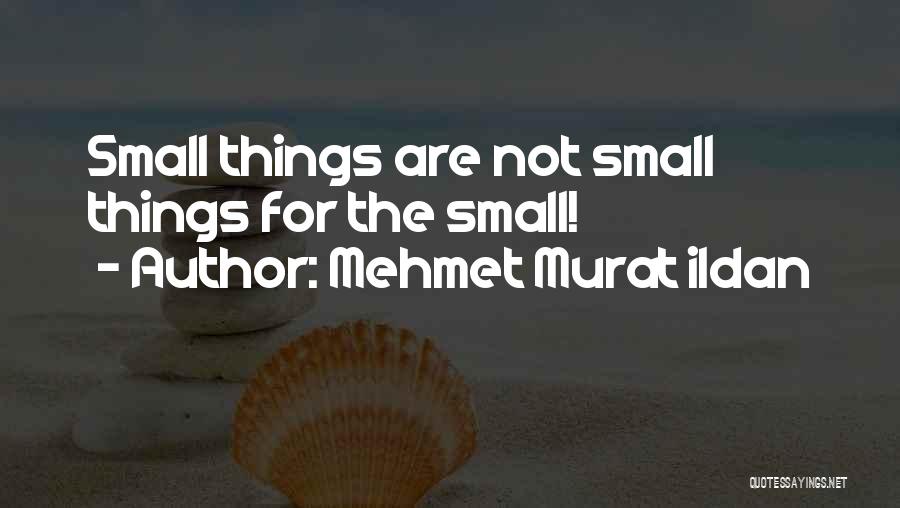 Mehmet Murat Ildan Quotes: Small Things Are Not Small Things For The Small!