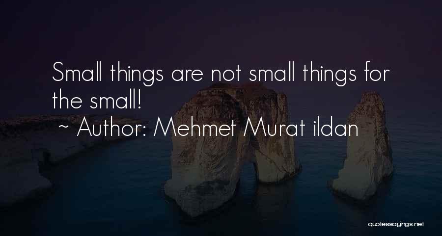 Mehmet Murat Ildan Quotes: Small Things Are Not Small Things For The Small!