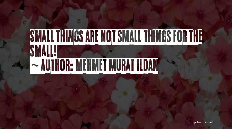 Mehmet Murat Ildan Quotes: Small Things Are Not Small Things For The Small!