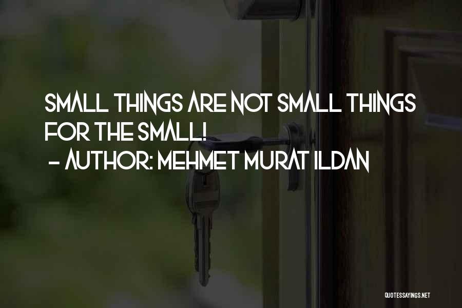 Mehmet Murat Ildan Quotes: Small Things Are Not Small Things For The Small!