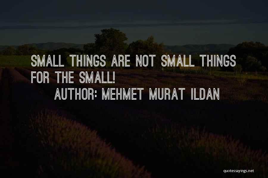 Mehmet Murat Ildan Quotes: Small Things Are Not Small Things For The Small!