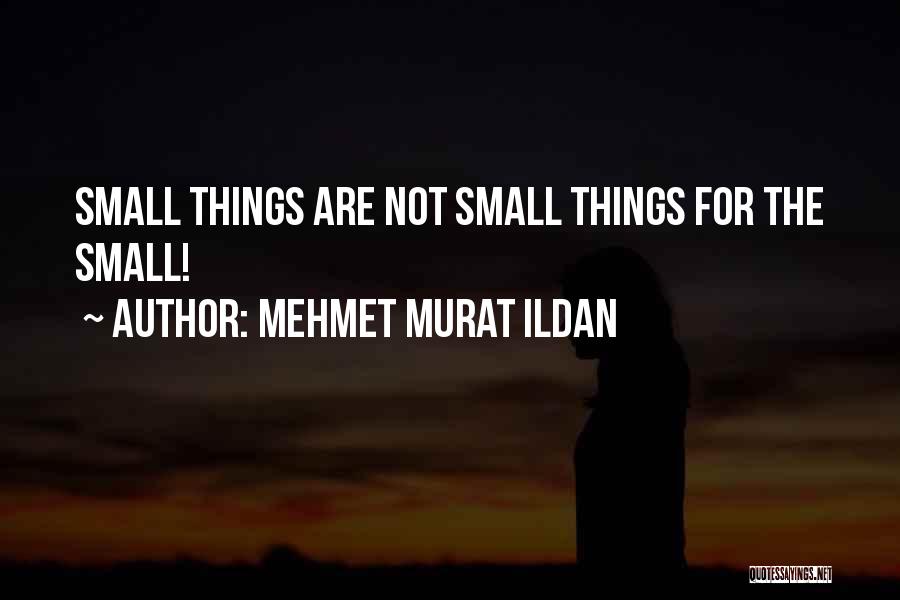 Mehmet Murat Ildan Quotes: Small Things Are Not Small Things For The Small!