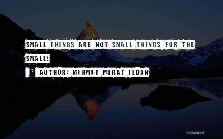 Mehmet Murat Ildan Quotes: Small Things Are Not Small Things For The Small!