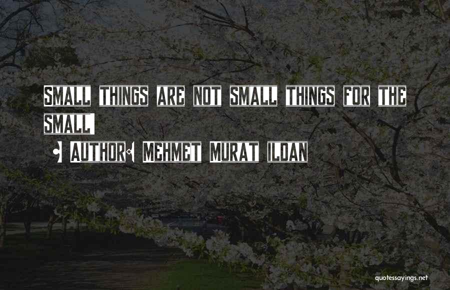 Mehmet Murat Ildan Quotes: Small Things Are Not Small Things For The Small!