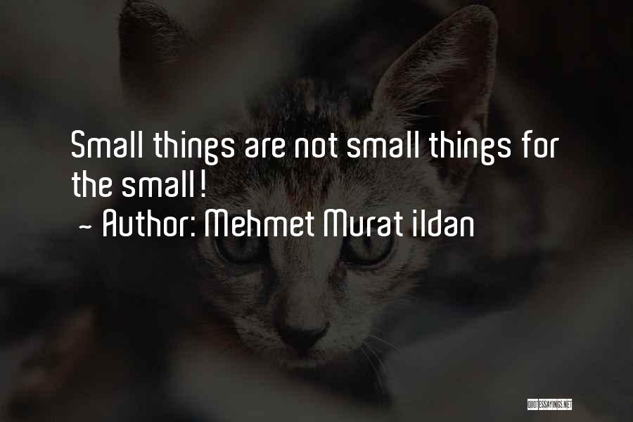 Mehmet Murat Ildan Quotes: Small Things Are Not Small Things For The Small!