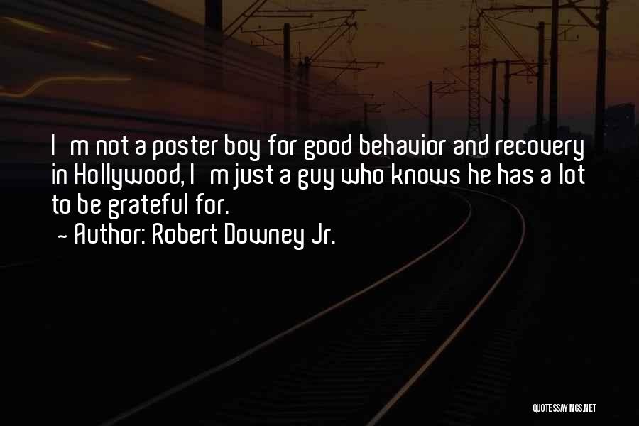 Robert Downey Jr. Quotes: I'm Not A Poster Boy For Good Behavior And Recovery In Hollywood, I'm Just A Guy Who Knows He Has