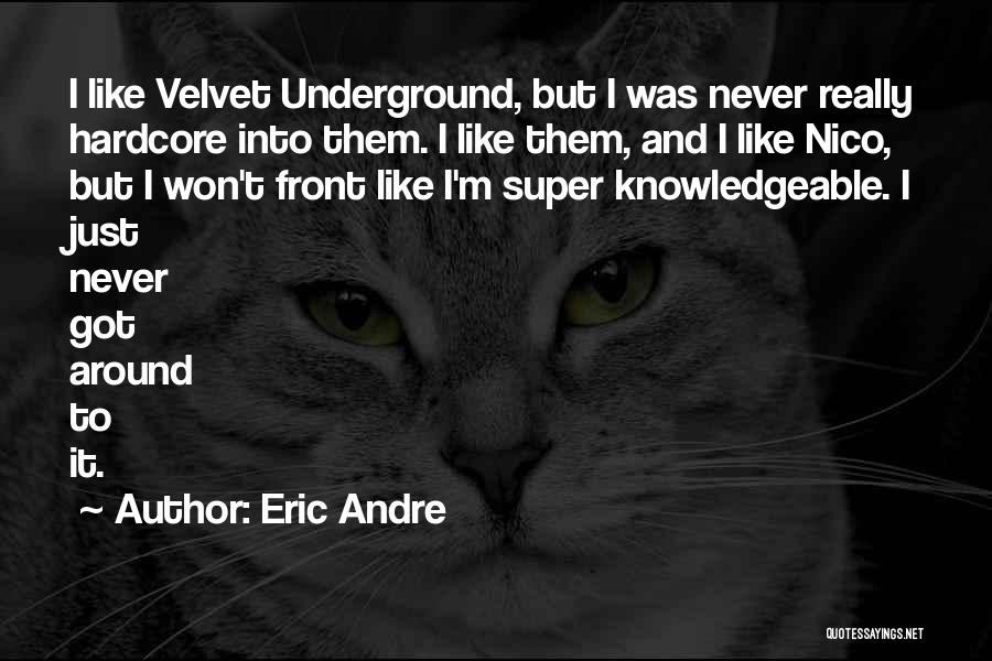 Eric Andre Quotes: I Like Velvet Underground, But I Was Never Really Hardcore Into Them. I Like Them, And I Like Nico, But