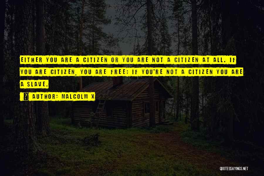 Malcolm X Quotes: Either You Are A Citizen Or You Are Not A Citizen At All. If You Are Citizen, You Are Free;