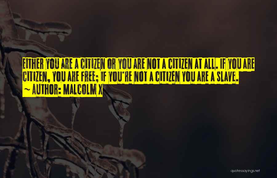 Malcolm X Quotes: Either You Are A Citizen Or You Are Not A Citizen At All. If You Are Citizen, You Are Free;