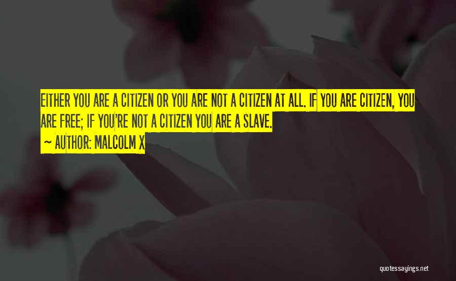 Malcolm X Quotes: Either You Are A Citizen Or You Are Not A Citizen At All. If You Are Citizen, You Are Free;