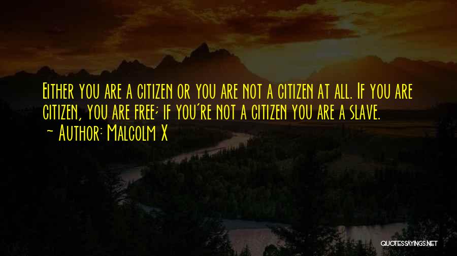 Malcolm X Quotes: Either You Are A Citizen Or You Are Not A Citizen At All. If You Are Citizen, You Are Free;