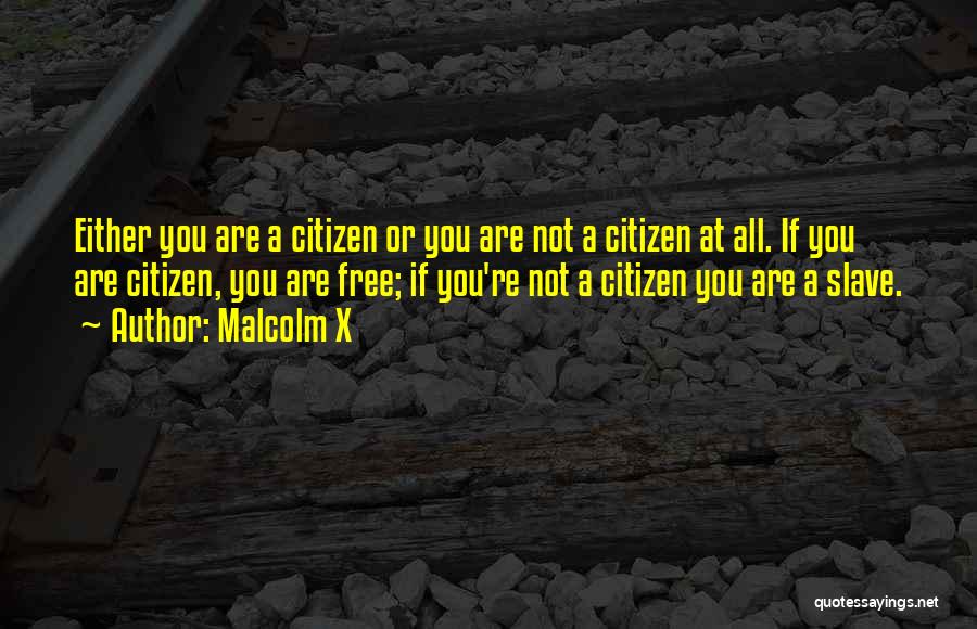 Malcolm X Quotes: Either You Are A Citizen Or You Are Not A Citizen At All. If You Are Citizen, You Are Free;
