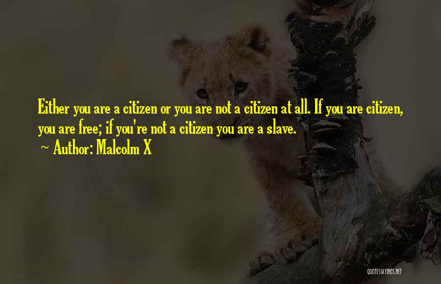 Malcolm X Quotes: Either You Are A Citizen Or You Are Not A Citizen At All. If You Are Citizen, You Are Free;