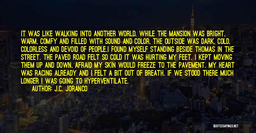 J.C. Joranco Quotes: It Was Like Walking Into Another World. While The Mansion Was Bright, Warm, Comfy And Filled With Sound And Color,