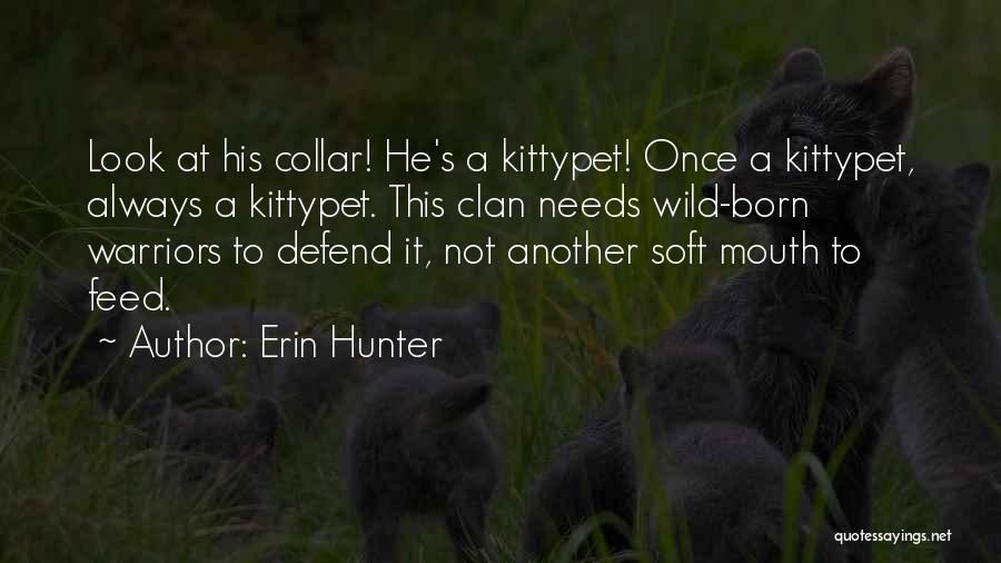 Erin Hunter Quotes: Look At His Collar! He's A Kittypet! Once A Kittypet, Always A Kittypet. This Clan Needs Wild-born Warriors To Defend