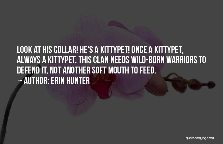 Erin Hunter Quotes: Look At His Collar! He's A Kittypet! Once A Kittypet, Always A Kittypet. This Clan Needs Wild-born Warriors To Defend