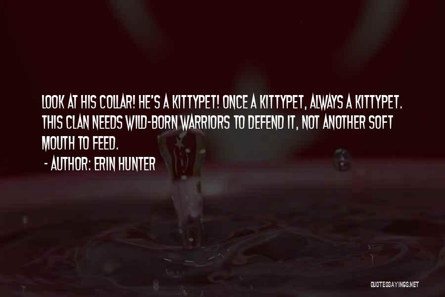 Erin Hunter Quotes: Look At His Collar! He's A Kittypet! Once A Kittypet, Always A Kittypet. This Clan Needs Wild-born Warriors To Defend