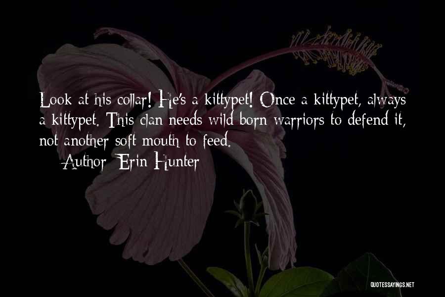 Erin Hunter Quotes: Look At His Collar! He's A Kittypet! Once A Kittypet, Always A Kittypet. This Clan Needs Wild-born Warriors To Defend