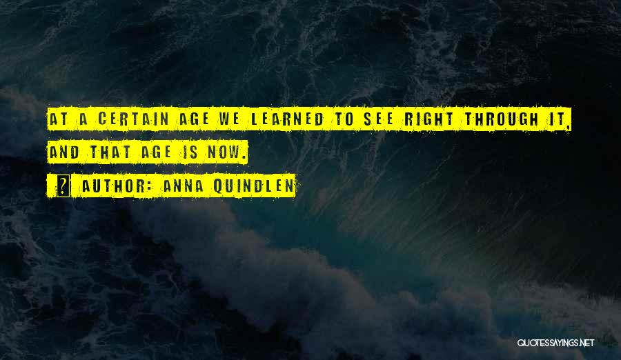 Anna Quindlen Quotes: At A Certain Age We Learned To See Right Through It, And That Age Is Now.