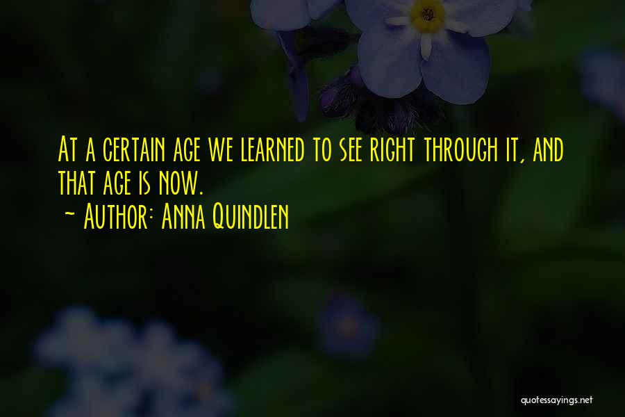 Anna Quindlen Quotes: At A Certain Age We Learned To See Right Through It, And That Age Is Now.