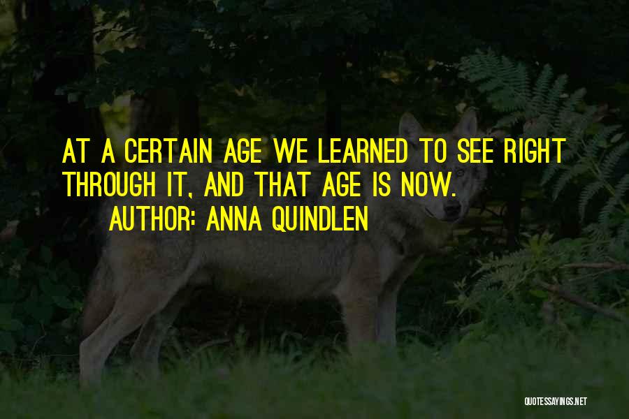 Anna Quindlen Quotes: At A Certain Age We Learned To See Right Through It, And That Age Is Now.