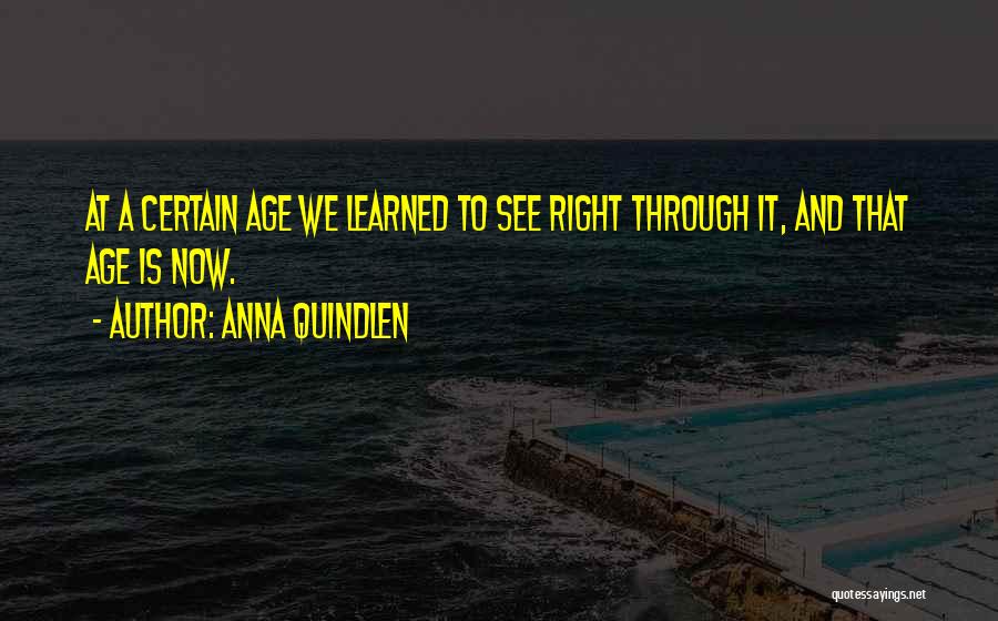 Anna Quindlen Quotes: At A Certain Age We Learned To See Right Through It, And That Age Is Now.