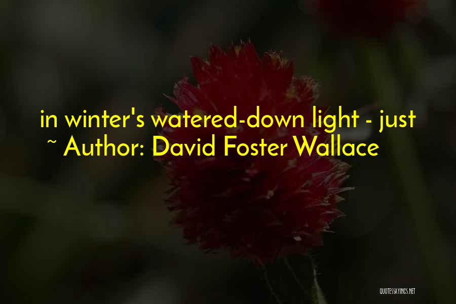 David Foster Wallace Quotes: In Winter's Watered-down Light - Just