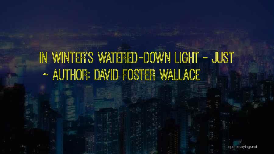 David Foster Wallace Quotes: In Winter's Watered-down Light - Just