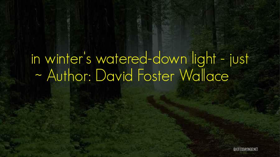David Foster Wallace Quotes: In Winter's Watered-down Light - Just