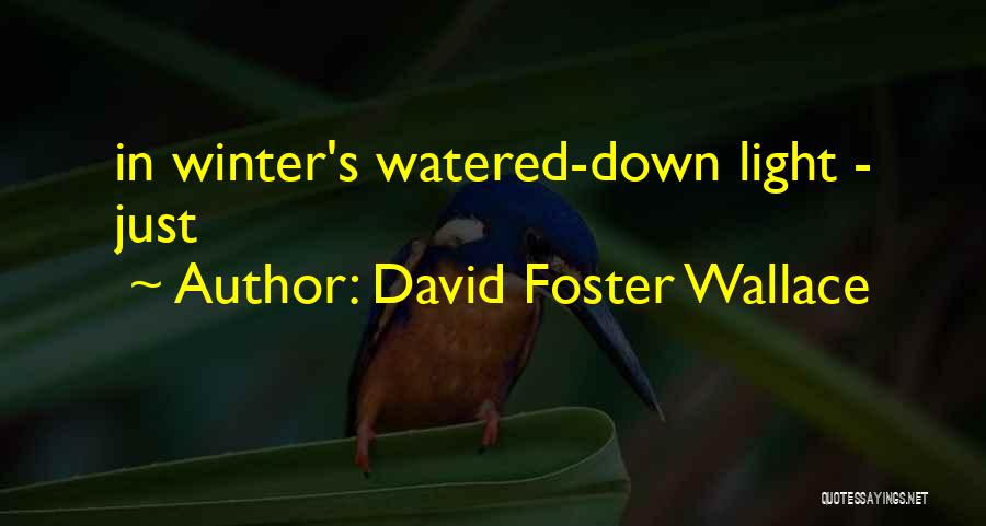 David Foster Wallace Quotes: In Winter's Watered-down Light - Just