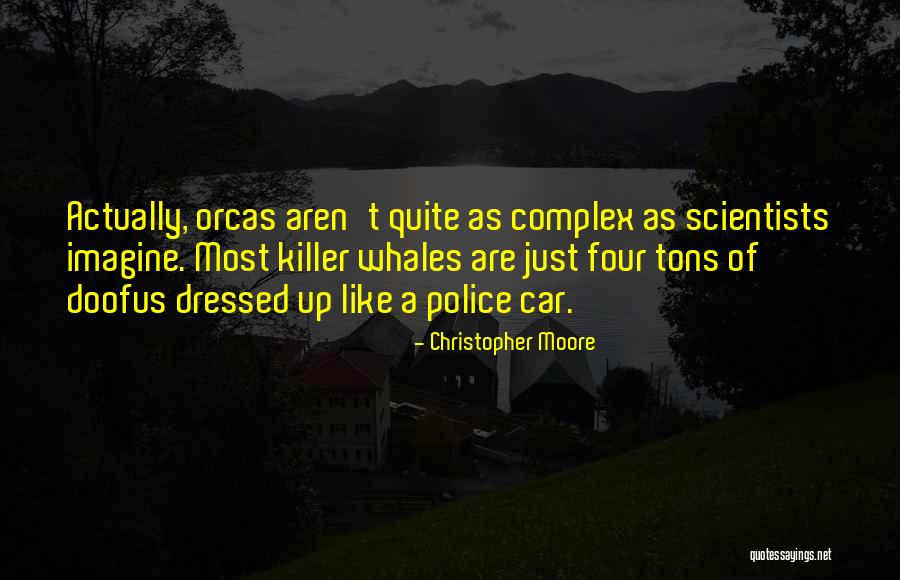 95q Live Quotes By Christopher Moore 95q Live Quotes By Christopher Moore