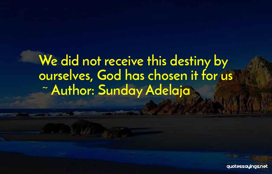 Sunday Adelaja Quotes: We Did Not Receive This Destiny By Ourselves, God Has Chosen It For Us