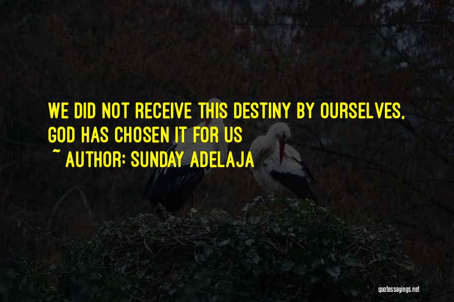 Sunday Adelaja Quotes: We Did Not Receive This Destiny By Ourselves, God Has Chosen It For Us